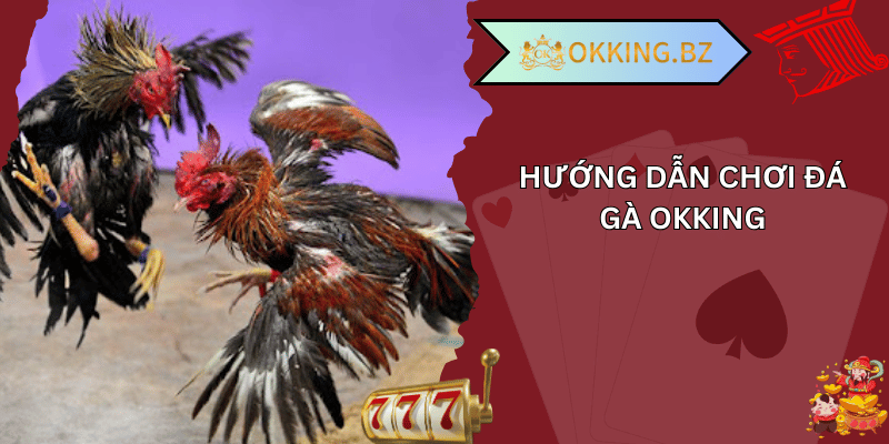 Hướng dẫn chơi đá gà okking