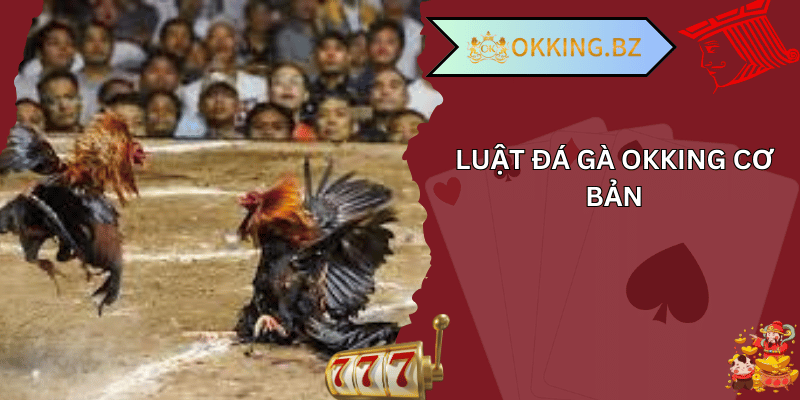 luật đá gà okking 01